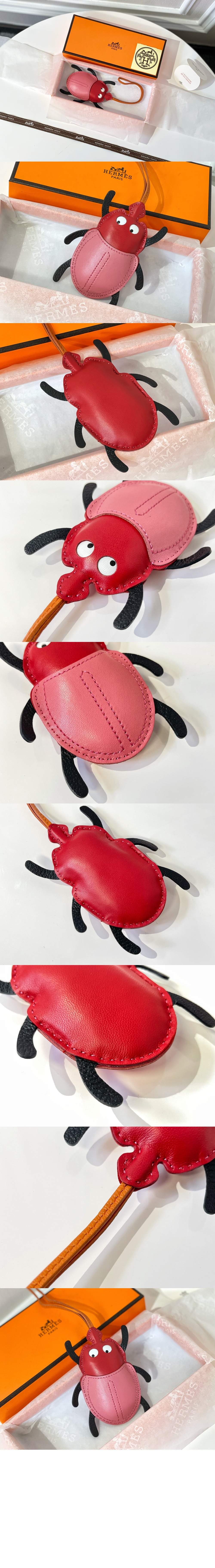 Lovely Beetle 백참