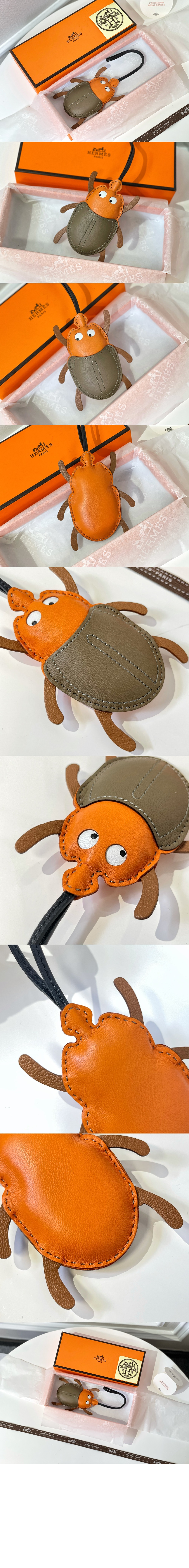 Lovely Beetle 백참