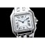 CARTIER 까르띠에 팬더-1 WJPN0007