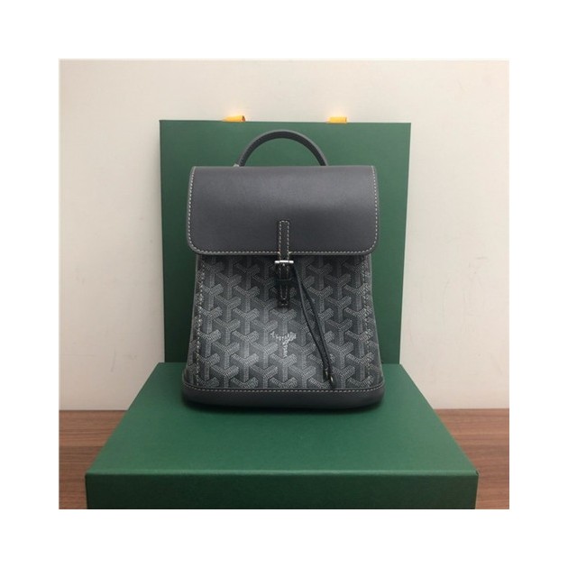 GOYARD 고야드 알핀 미니 백팩 G80901-1 신상