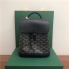 GOYARD 고야드 알핀 미니 백팩 G80901-5 신상