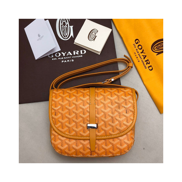 GOYARD 고야드 메신져백 22CM GY100980-1