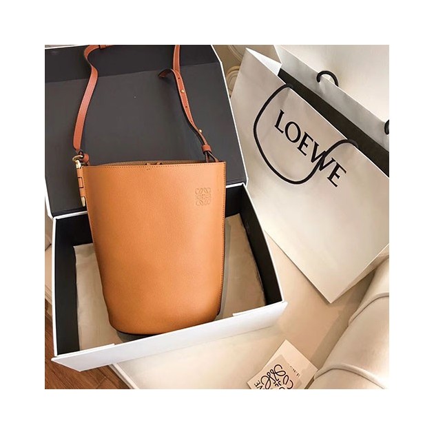LOEWE 로에베 게이트 바게트백 봄신상 L1080252