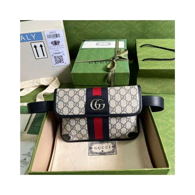 GUCCI 구찌 힙색 674081