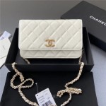 CHANEL 샤넬 WOC 체인 크로스백 AP3180