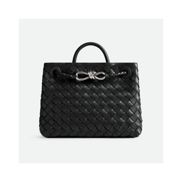 BOTTEGA VENETA 보테가베네타 스몰 안디아모 766014