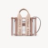 DIOR 디올 젤리 미니 Woody 토트백 UP237 2COLOR