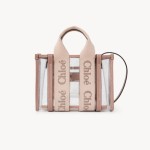 DIOR 디올 젤리 미니 Woody 토트백 UP237 2COLOR