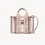 DIOR 디올 젤리 미니 Woody 토트백 UP237 2COLOR