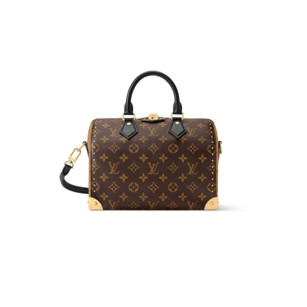 LOUIS VUITTON 루이비통 스피디 트렁크 25 M26181