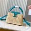 LOUIS VUITTON 루이비통 카푸신 미니 M48865  2SIZE