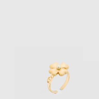 Lucky Dior 반지 R2542