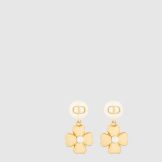 Lucky Dior 귀걸이 E3928